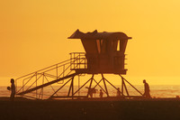 Featured Photographs